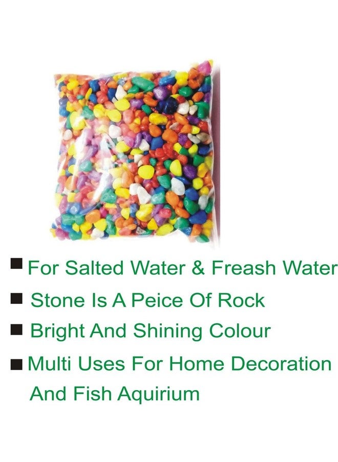 Somil Multicolor Pebbles/Stones for Garden, Plants, Lawns, Aquariums, Fish Pots, Home Decor, Vases, Furniture Filler. Size: 10-30mm, Shiny Multicolor -A263 - Image 5